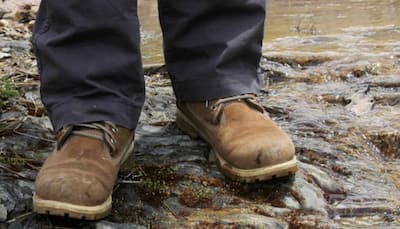 Biodegradable shoes made from mushrooms, chicken feathers