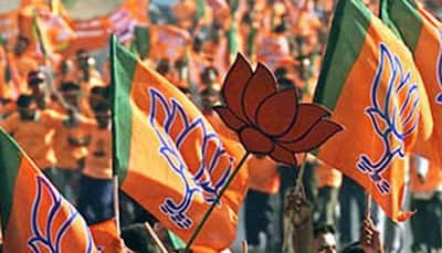 BJP wins 49 out of 115 seats in six municipal councils in Maharashtra