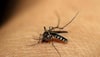 Novel bed net provides greater protection against malaria