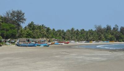 Sun, sand and sanitation: Goa celebrates beach hygiene campaign with music party