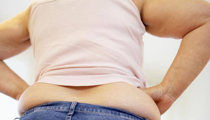 Mother&#039;s obesity may up early puberty risk in girls