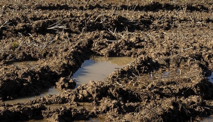 Japanese island&#039;s mud could alter global economy: Study