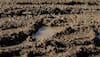 Japanese island's mud could alter global economy: Study