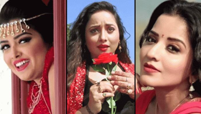 Amrapali Dubey, Rani Chatterjee or Monalisa - who&#039;s the highest paid Bhojpuri actress? Check out list