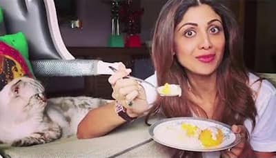 Shilpa Shetty seeks help on social media to find her 'bundle of joy' Simba