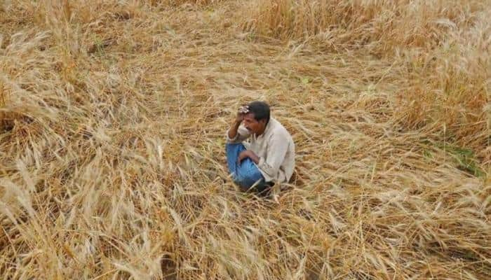 Image result for farmers suicide zee news