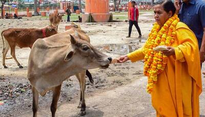 I'm not Lord Rama, can't purify Dalits by eating with them, says BJP's Uma Bharti