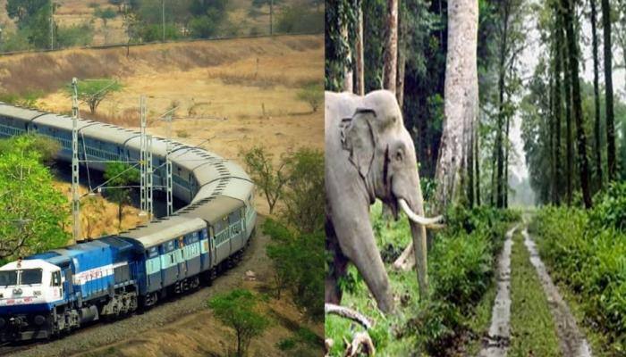 IRCTC offers 5-day Green Dooars package starting at Rs 12,825: Tour details