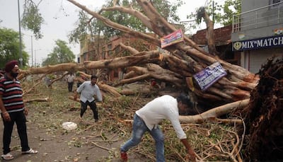 Fresh bout of storm 'very likely' in parts of UP