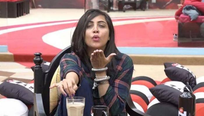 Former &#039;Bigg Boss 11&#039; contestant Arshi Khan&#039;s sizzling dance on &#039;Rashke Qamar&#039; has gone viral—Watch