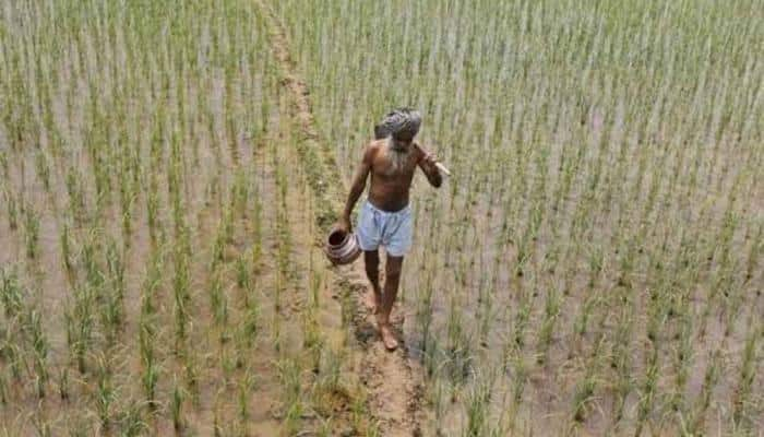 Cabinet approves Rs 5,000 crore fund through NABARD to promote irrigation