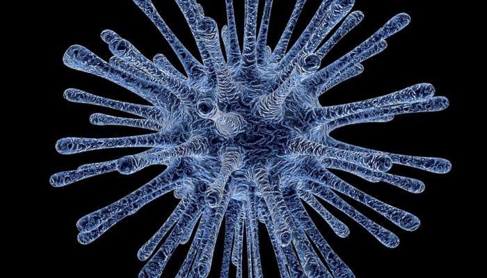Kerala health department on high alert after 3 deaths due to rare virus 'Nipah'