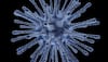 Nipah outbreak in Kerala claims 3 lives; 8 under observation