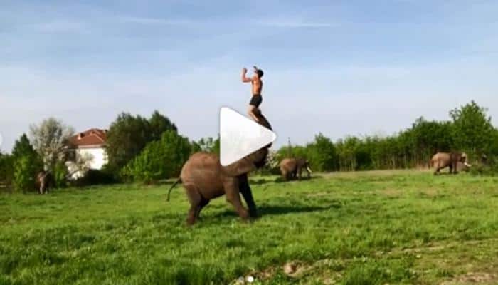 This man does a somersault on an elephant and it will give &#039;Baahubali&#039; Prabhas jitters—Watch viral video