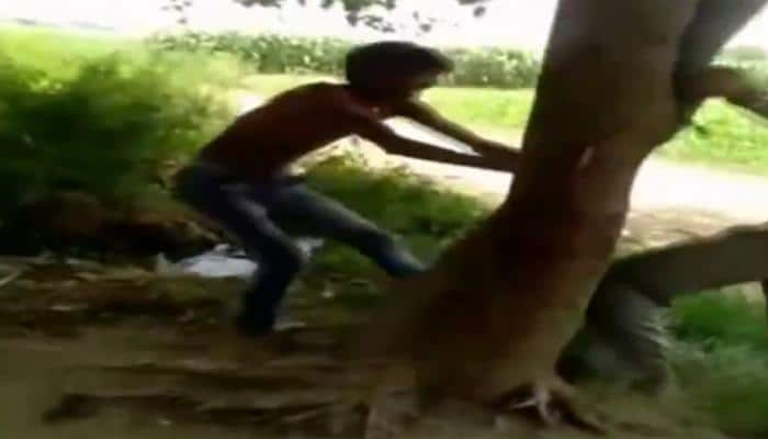 Man tied to tree, thrashed for stealing muskmelons in UP - Watch