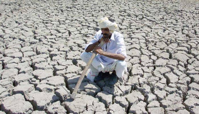 Gujarat CM Vijay Rupani&#039;s government to perform 41 &#039;yajnas&#039; in 33 districts to appease rain god