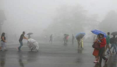 Skymet claims Southwest Monsoon hits Kerala; IMD says rains to arrive within 24 hours