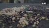 MP farmers'' agitation from Friday; milk, vegetable shortage likely