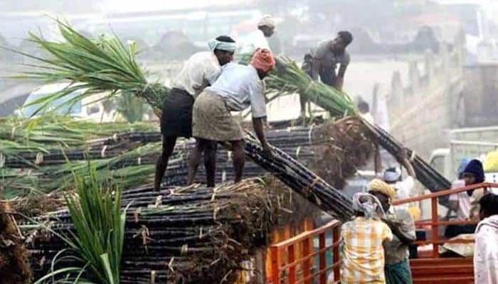 Sweet deal? Government set to bring Rs 7000 crore package to woo sugercane farmers