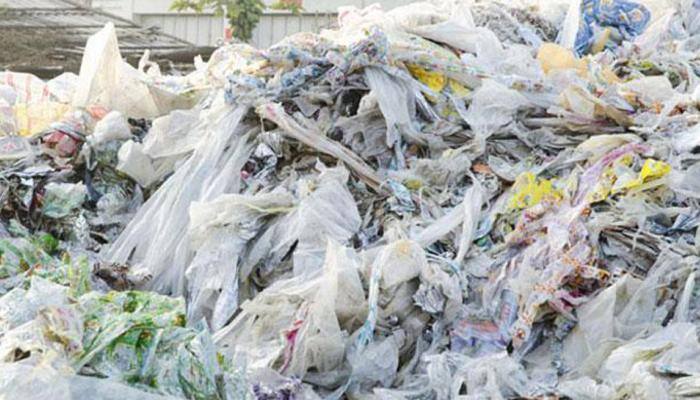 Ban plastic bags? UN seeks to cut pollution as recycling falls short