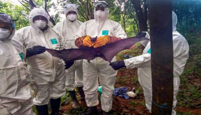 Fearing Nipah virus, Saudi Arabia bans products from Kerala