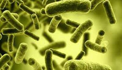 Scientists map genetic codes of 3,000 dangerous bacteria
