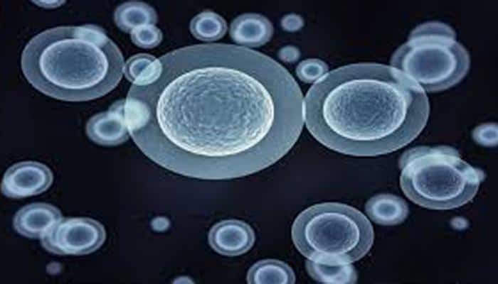 Collagen secretion can be controlled now
