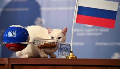 Russia will win their first FIFA World Cup 2018 match, predicts Clairvoyant Cat