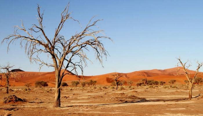 India staring at dry future, 600 million face high water stress: Niti Aayog report