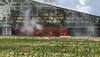 Massive Ohio barn fire chars 5000 pigs