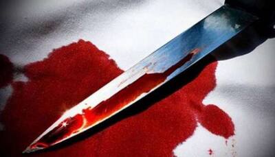 Lover stabs teen to death at Greater Noida mall, tries to kill self