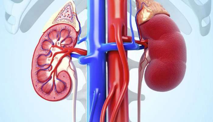 Hospital sealed in UP's Muzaffarnagar after doctor booked for 'stealing' patient's kidney