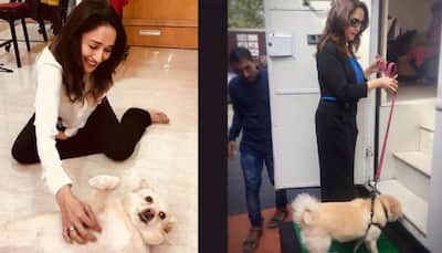 Madhuri Dixit loses pet to cancer, shares heartwarming video—Watch  
