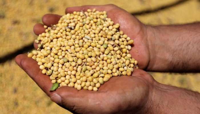 China to cut import tariffs on soybean, other products from 5 Asian nations including India