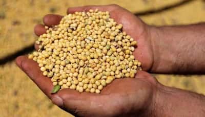 China to cut import tariffs on soybean, other products from 5 Asian nations including India