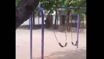 Swing rocks without occupant, eerie video goes viral- Watch  