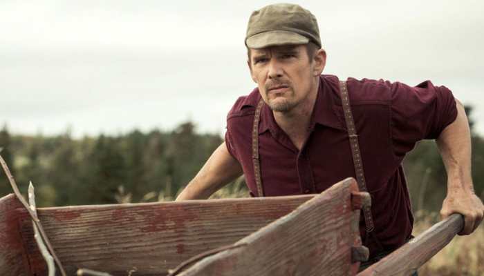 It&#039;s a &#039;safer climate&#039; for women in Hollywood now: Ethan Hawke