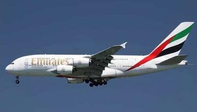 Emirates to discontinue 'Hindu meal' service on flights; have other vegetarian meal options on menu
