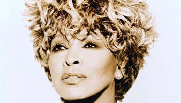 Tina Turner&#039;s eldest son commits suicide