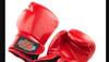 National-level boxer drowns in canal in UP's Muzaffarnagar, body recovered