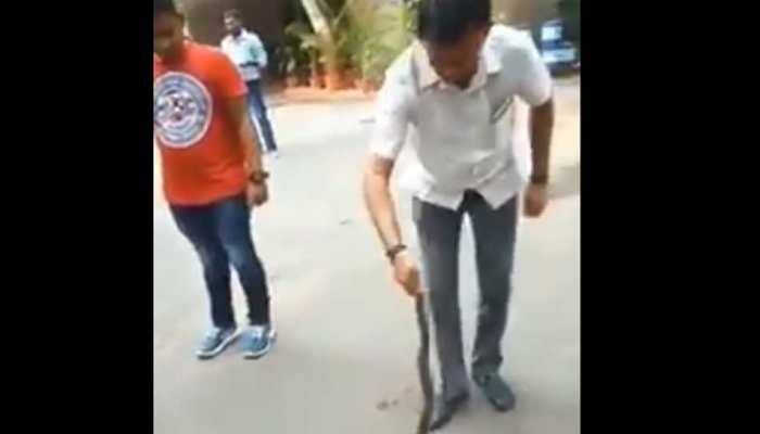 Gujarat Congress MLA Paresh Dhanani catches poisonous snake outside residence, video goes viral