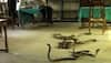 60 snakes found in school's kitchen in Maharashtra's Hingoli