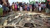 Indonesian mob slaughters 292 crocodiles in revenge killing