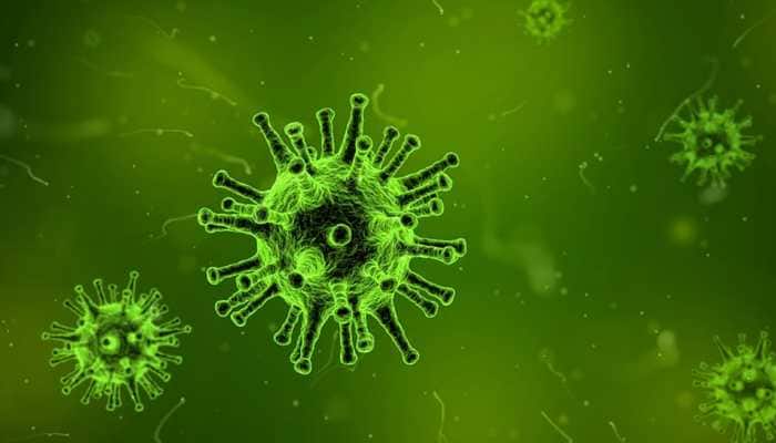 Roundworms avoid bad bacteria after smelling Nitric oxide