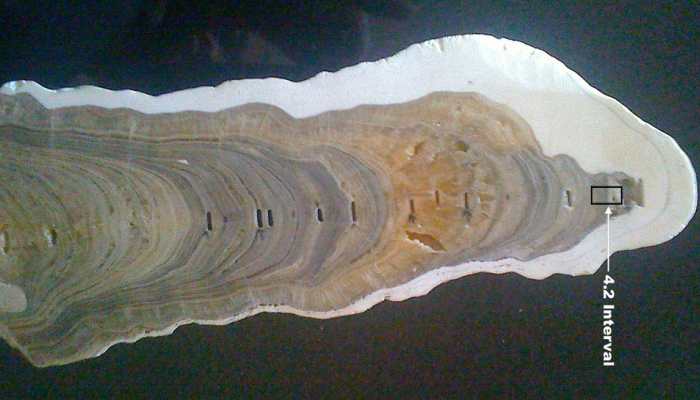 'Meghalayan Age' the new phase in Earth's history