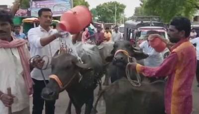 Maharashtra announces Rs 25 per litre as minimum price of milk for dairy farmers, with effect from July 21