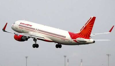 Air India flight from Singapore suffers bird hit before landing in Chennai