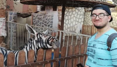 Photo of donkey allegedly painted to look like Zebra goes viral