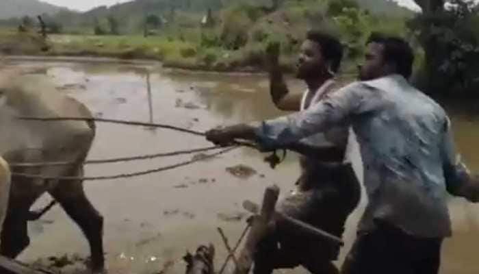 2 Telangana farmers take up Kiki challenge, leave internet in splits