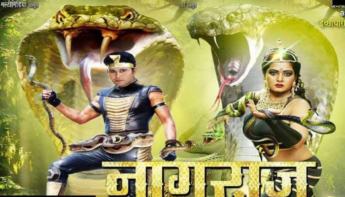 Bhojpuri Hot Cake Anjana Singh Yash Kumar S Nagraj Sets Box Office On Fire Bhojpuri News Zee News How a movie performs at the box office is by far the most important criteria in deciding a movie's success. bhojpuri hot cake anjana singh yash kumar s nagraj sets box office on fire bhojpuri news zee news